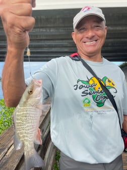 Fishing in Sarasota, Florida