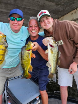 Fishing in Fort Lauderdale, Florida
