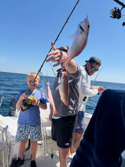 Fishing in Pensacola, Florida