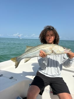 Fishing in Largo, Florida