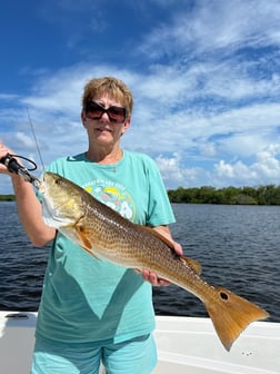 Fishing in Hudson, Florida