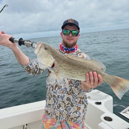 Fishing in Tarpon Springs, Florida
