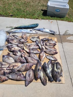 Fishing in Wrightsville Beach, North Carolina