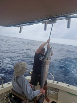 Fishing in South Padre Island, Texas