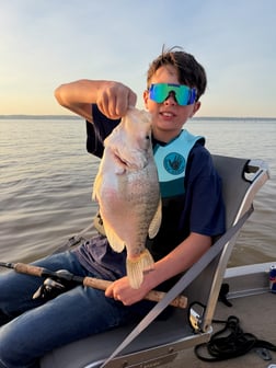 Fishing in Sardis, Mississippi