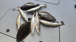 Fishing in South Padre Island, Texas