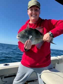 Fishing in Panama City, Florida