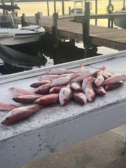 Fishing in Panama City Beach, Florida