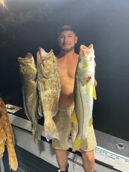 Fishing in St. Petersburg, Florida