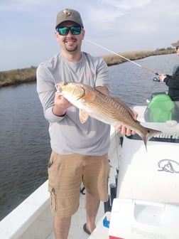Fishing in Lafitte, Louisiana