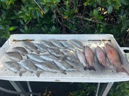Fishing in St. Petersburg, Florida