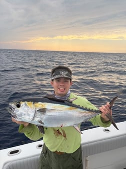 Fishing in Jupiter, Florida