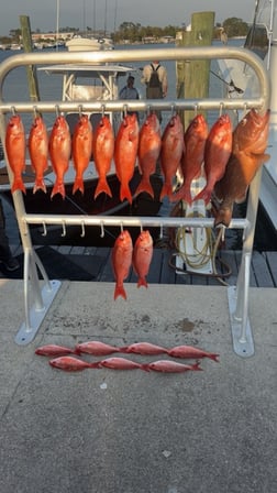 Fishing in Panama City Beach, Florida