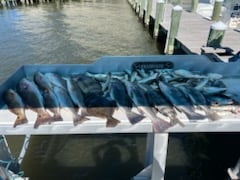 Fishing in Gulfport, Mississippi