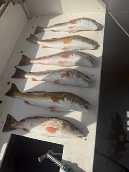 Fishing in Port Aransas, Texas