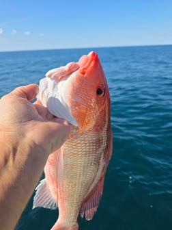 Fishing in Port Orange, Florida