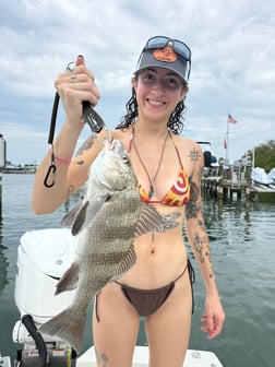 Fishing in Sarasota, Florida