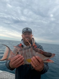 Fishing in Tampa, Florida