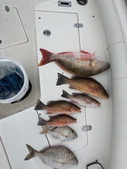 Fishing in Key Largo, Florida