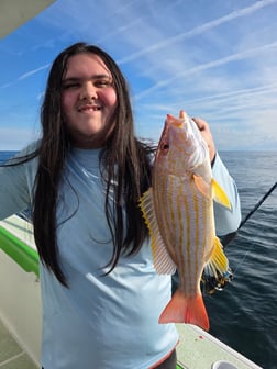 Fishing in Port Orange, Florida