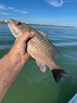 Fishing in Sarasota, Florida