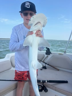 Fishing in Hilton Head Island, South Carolina