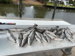 Fishing in Bay St. Louis, Mississippi