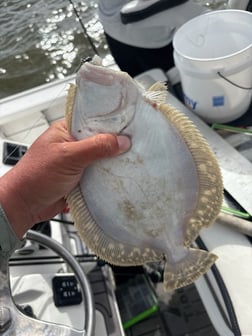 Fishing in Lake Charles, Louisiana