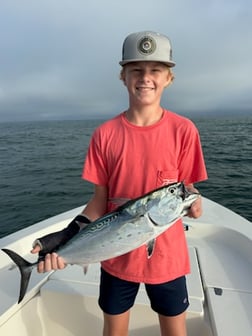 False Albacore Fishing in Beaufort, North Carolina