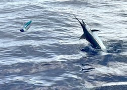 Fishing in Kaiminani, Hawaii
