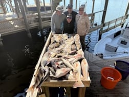 Fishing in New Orleans, Louisiana