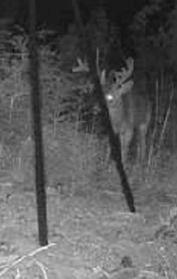 Hunting in Crestview, Florida