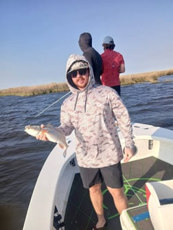 Fishing in Lafitte, Louisiana