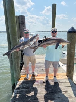 Fishing in Virginia Beach, Virginia