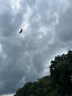 Fishing in Heber Springs, Arkansas