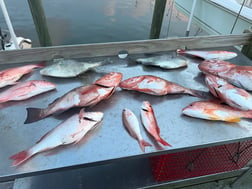 Fishing in Panama City, Florida