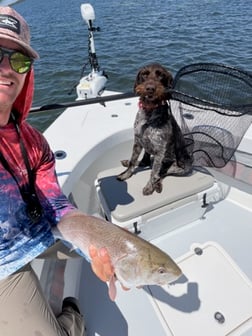 Fishing in Matlacha, Florida