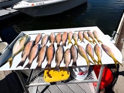 Fishing in Key West, Florida