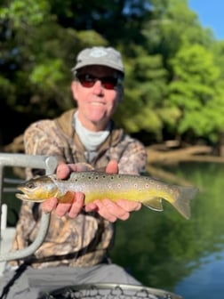 Fishing in Roswell, Georgia