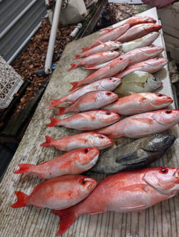 Fishing in St. Marys, Georgia