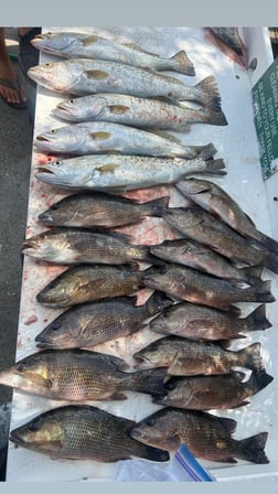 Fishing in Marco Island, Florida