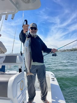 Fishing in Orange Beach, Alabama
