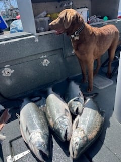 Fishing in Half Moon Bay, California