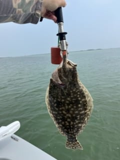 Fishing in South Padre Island, Texas