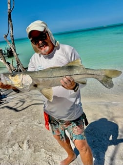 Fishing in Sarasota, Florida