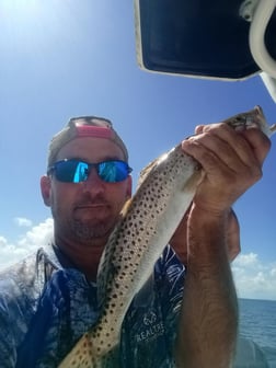 Fishing in Port Charlotte, Florida