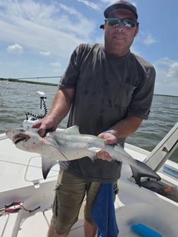 Fishing in Saint Bernard, Louisiana