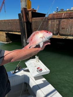 Fishing in Port Isabel, Texas