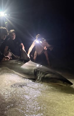 Fishing in Destin, Florida