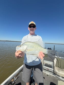 Fishing in Grenada, Mississippi